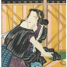 Utagawa Kunisada: Meiyo Jinsei Roku - Robyn Buntin of Honolulu