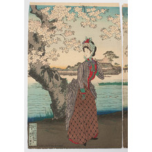 Toyohara Chikanobu: Flower Viewing - Robyn Buntin of Honolulu