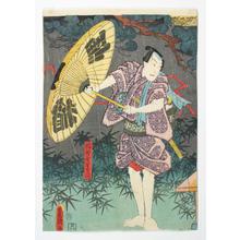 Utagawa Kunisada: Meiyo Jinsei Roku - Robyn Buntin of Honolulu