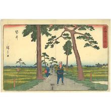 Utagawa Hiroshige: 53 Stations of the Tokaido(Gyosho) - Fukuroi - Robyn Buntin of Honolulu