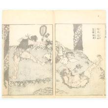 Katsushika Hokusai: Sumo Diptych - Robyn Buntin of Honolulu