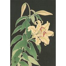 Unknown: Lilies - Robyn Buntin of Honolulu