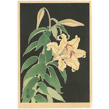 Unknown: Lilies - Robyn Buntin of Honolulu