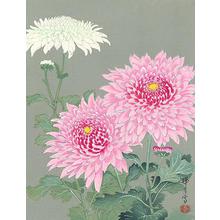 Ikeda Zuigetsu: Chrysanthemum - Robyn Buntin of Honolulu