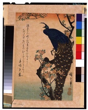 Utagawa Hiroshige: - Tokyo National Museum