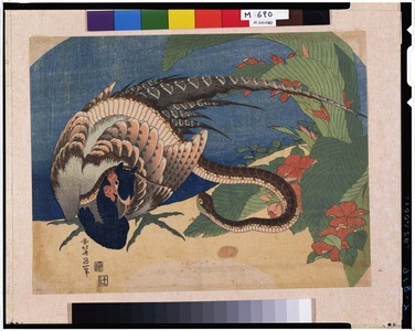 Katsushika Hokusai: - Tokyo National Museum