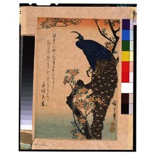 Utagawa Hiroshige: - Tokyo National Museum