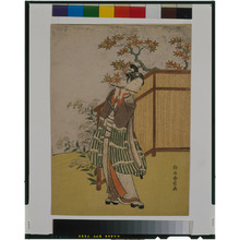 Suzuki Harunobu: - Tokyo National Museum