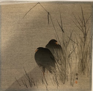 Untitled Japanese Print by an unknown artist