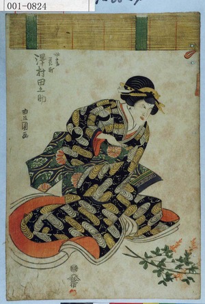 Utagawa Toyokuni I: 「女房花町 沢村田之助」 - Waseda University Theatre Museum