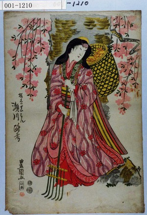 Utagawa Toyokuni I: 「桜木のせいこん 瀬川路考」 - Waseda University Theatre Museum