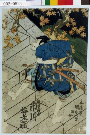 Utagawa Kunisada: 「遠藤武者 市川海老蔵」 - Waseda University Theatre Museum