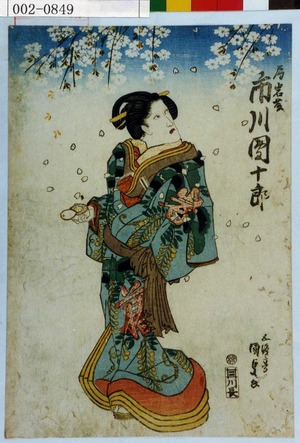 Utagawa Kunisada: 「局岩藤 市川団十郎」 - Waseda University Theatre Museum