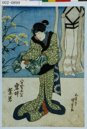 Utagawa Kunisada: 「八重がきおひめ 岩井紫若」 - Waseda University Theatre Museum