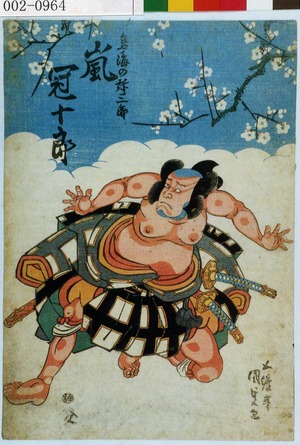 Utagawa Kunisada: 「鳥ノ海の弥三郎 嵐冠十郎」 - Waseda University Theatre Museum
