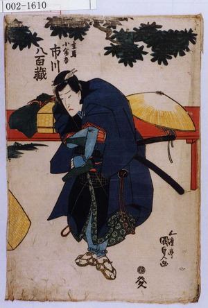 Utagawa Kunisada: 「主馬小金吾 市川八百蔵」 - Waseda University Theatre Museum