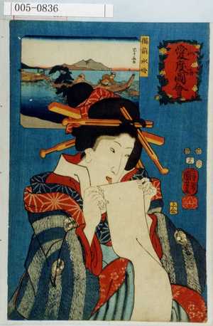 Utagawa Kuniyoshi, 歌川国芳 (国芳)による浮世絵「「山海愛度図会」「備前水母」」