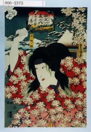 Japanese Print "「擬五行尽之内 安貞の☆ 木」「小町姫」" by Utagawa Toyokuni III, 歌川豊国〈3〉 (豊国〈3〉)