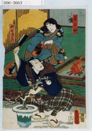 Utagawa Kunisada: 「妻白妙」 - Waseda University Theatre Museum