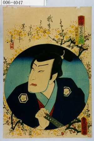 Utagawa Kunisada: 「今様百花撰之内」「須破数右衛門」 - Waseda University Theatre Museum