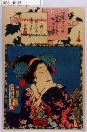 Utagawa Kunisada: 「俳優百花撰」「巴之丞妾時鳥実ハ団逸斎が娘さゝなみ」 - Waseda University Theatre Museum