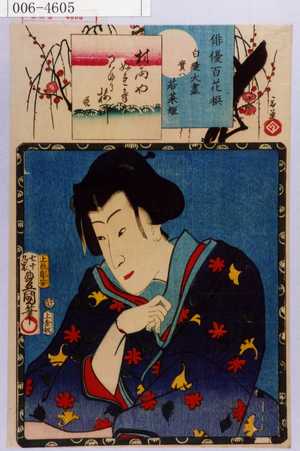 Utagawa Kunisada: 「俳優百花撰」「白縫大尽実ハ若菜姫」 - Waseda University Theatre Museum