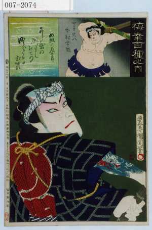 Toyohara Kunichika: 「梅幸百種之内」「め組の辰五郎」「四ツ車大八 中村芝翫」 - Waseda University Theatre Museum