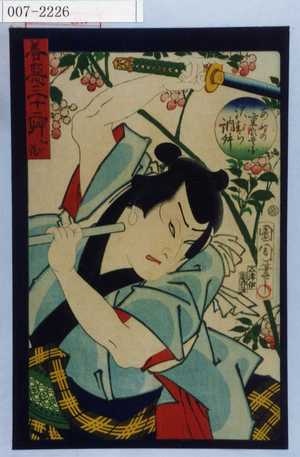 Toyohara Kunichika: 「善悪三十二艸 ☆い花」「あわの重郎兵衛 沢むら訥升」 - Waseda University Theatre Museum