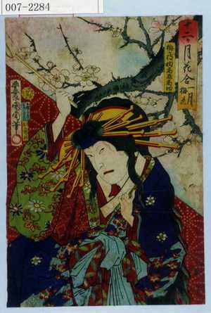 Toyohara Kunichika: 「十二ヶ月花合 一月 梅花」「梅ヶ枝 助高屋高助」 - Waseda University Theatre Museum