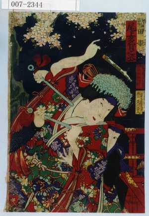 Toyohara Kunichika: 「照田姫 尾上多賀之丞」 - Waseda University Theatre Museum