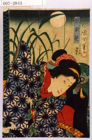 Toyohara Kunichika: 「娘於花」 - Waseda University Theatre Museum