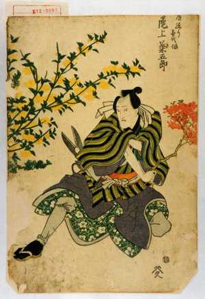 Utagawa Toyokuni I: 「庭造り喜代作 尾上菊五郎」 - Waseda University Theatre Museum