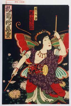 Utagawa Kunisada: 「乱菊枕慈童」「蝶の化身 尾上栄三郎」 - Waseda University Theatre Museum