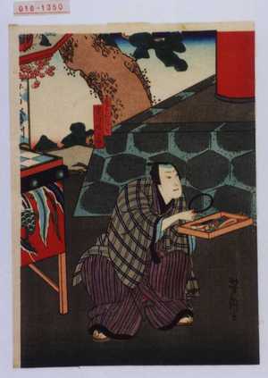 Utagawa Yoshitaki: 「香具や弥七 実川延三郎」 - Waseda University Theatre Museum