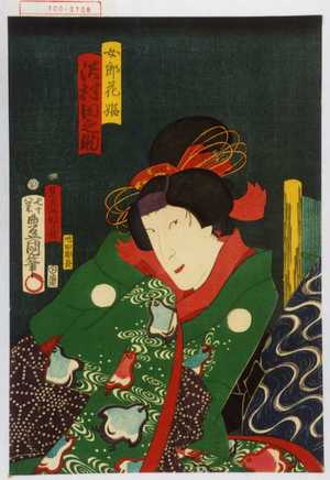 Utagawa Kunisada: 「女郎花姫 沢村田之助」 - Waseda University Theatre Museum