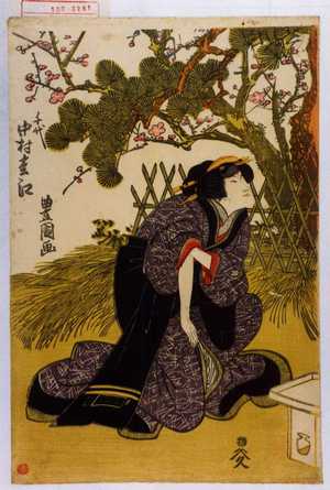 Utagawa Toyokuni I: 「千代 中村松江」 - Waseda University Theatre Museum