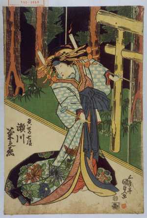 Utagawa Kunisada: 「けいせい七綾 瀬川菊之丞」 - Waseda University Theatre Museum