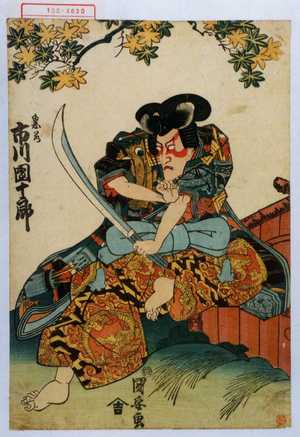 Utagawa Kuniyasu: 「鬼若 市川団十郎」 - Waseda University Theatre Museum