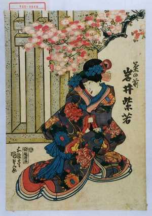 Utagawa Kunisada, 歌川国貞 (国貞〈1〉)による浮世絵「「菊の前 岩井紫若」」