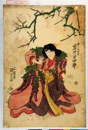 Utagawa Kunisada: 「ふじのせゐ 岩井半四郎」 - Waseda University Theatre Museum