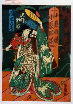 Ochiai Yoshiiku: 「園生の局 沢村田之助」 - Waseda University Theatre Museum