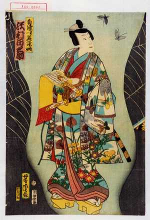 Utagawa Yoshitora: 「白縫 実ハ若菜姫 沢村田之助」 - Waseda University Theatre Museum