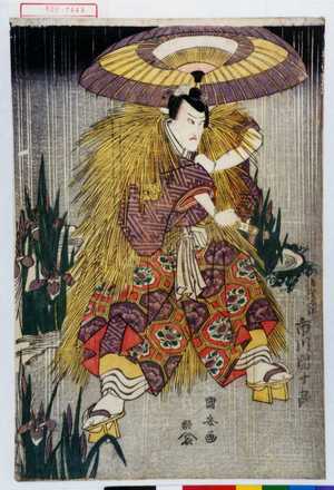 Utagawa Kuniyasu: 「多賀大領 市川団十郎」 - Waseda University Theatre Museum