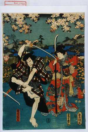 Utagawa Toyokuni III, 歌川豊国〈3〉 (豊国〈3〉)による浮世絵「「奥女中亀の江」「猿嶋惣太」」