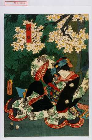 Utagawa Kunisada: 「桜姫」 - Waseda University Theatre Museum