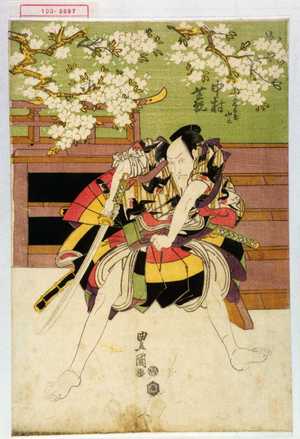 Utagawa Toyokuni I: 「名古屋山三 中村芝翫」 - Waseda University Theatre Museum