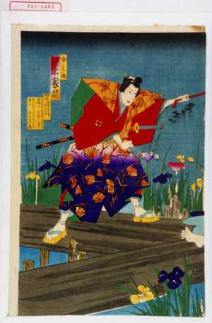 Toyohara Chikanobu: 「女之助 坂東家橘」 - Waseda University Theatre Museum