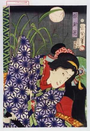 Toyohara Kunichika: 「娘於花 沢村田之助」 - Waseda University Theatre Museum