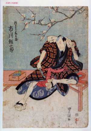 Utagawa Toyokuni I: 「朝日奈藤兵衛 市川鰕十郎」 - Waseda University Theatre Museum