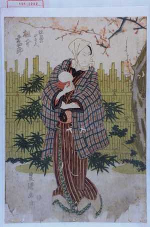 Utagawa Toyokuni I: 「放駒四郎兵へ 松本幸四郎」 - Waseda University Theatre Museum